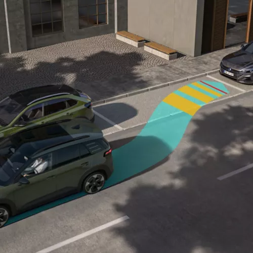 Park Assist Systems