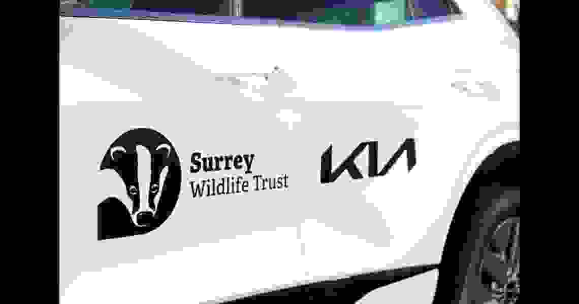 Kia UK extends partnership with Surrey Wildlife Trust, becomes Founding Partner of the £1 million appeal