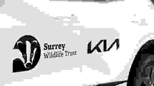 Kia UK extends partnership with Surrey Wildlife Trust, becomes Founding Partner of the £1 million appeal