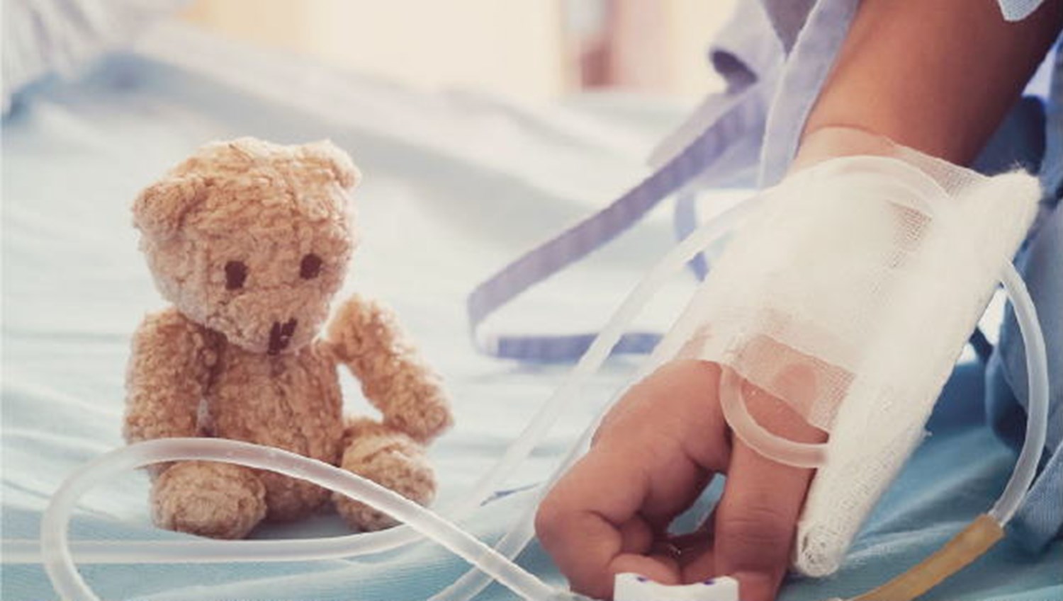 Teddy bear and hand bandaged up