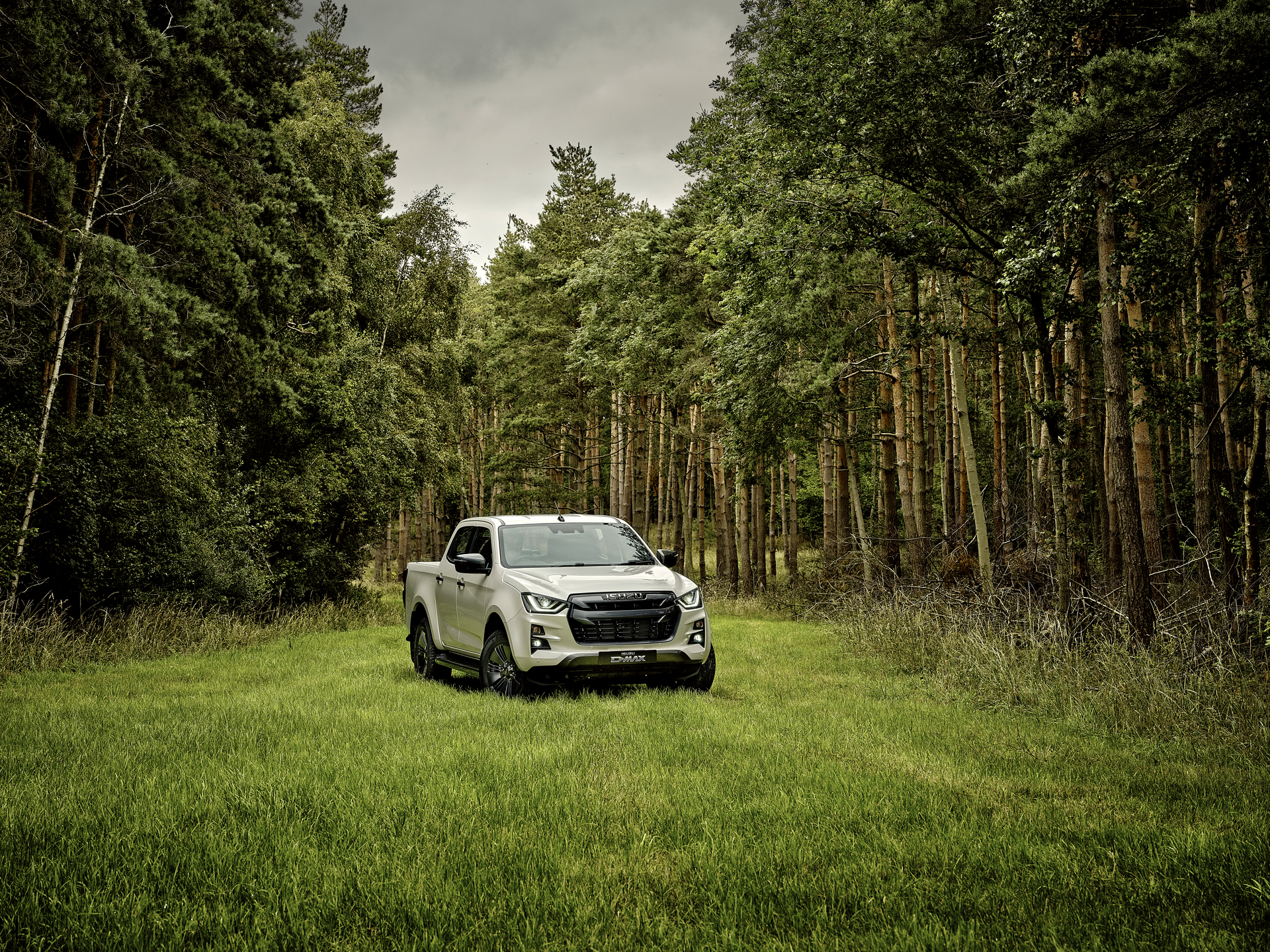 Isuzu D-Max V-Cross in a forest