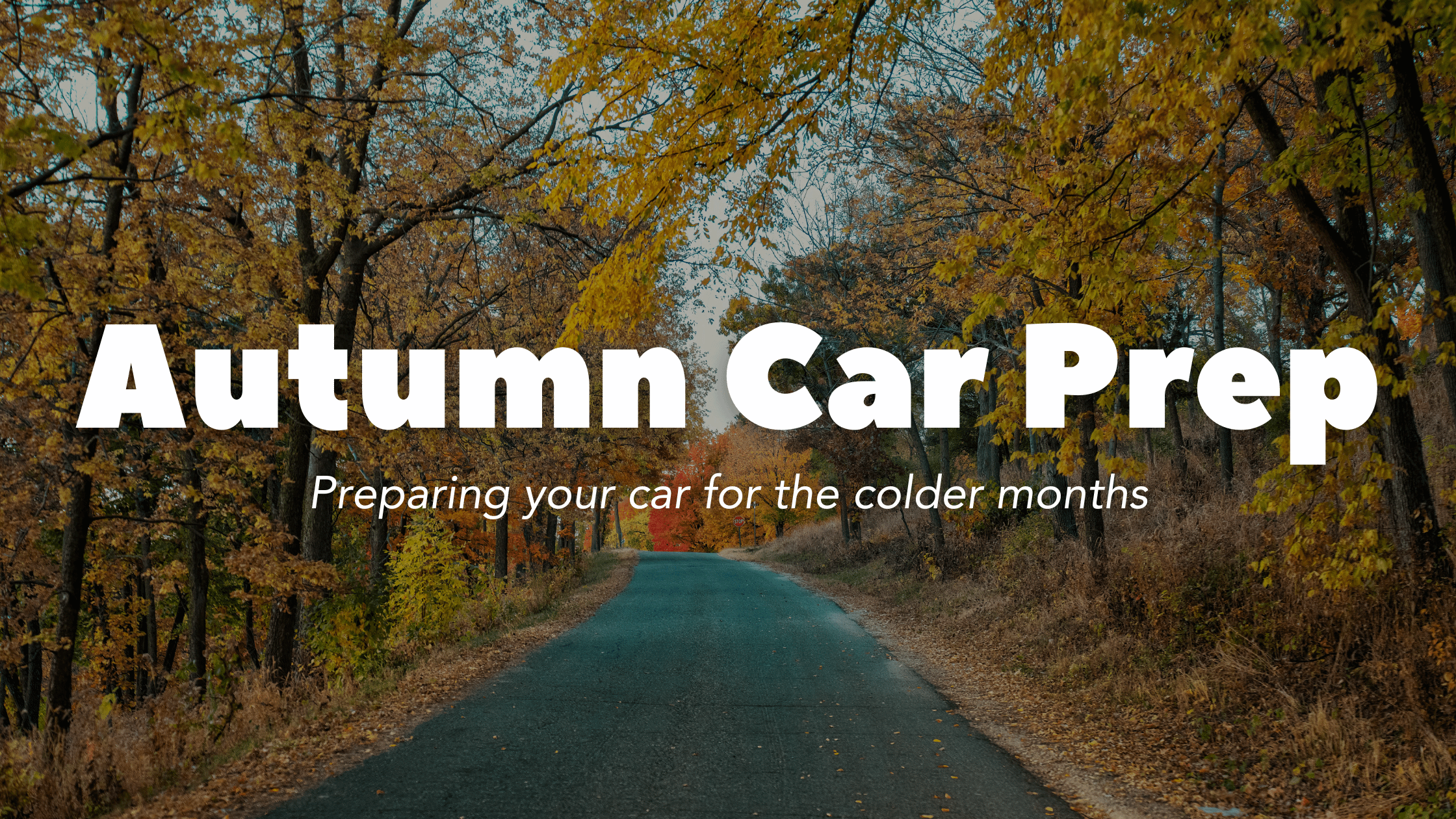 6 Steps to Get Your Car Autumn Ready 