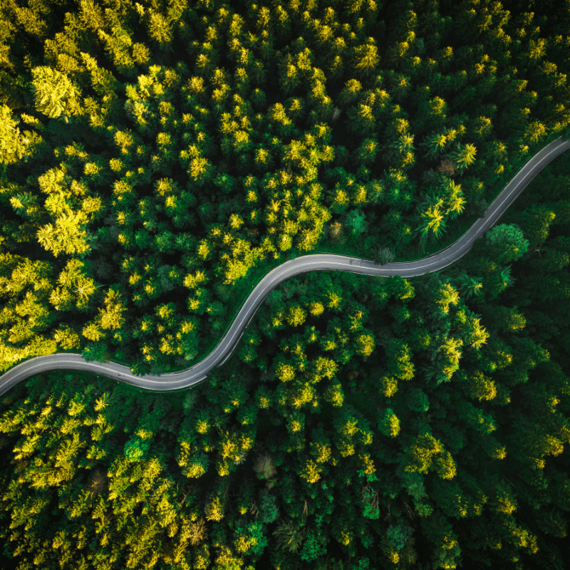 Birds eye view of road going between forest