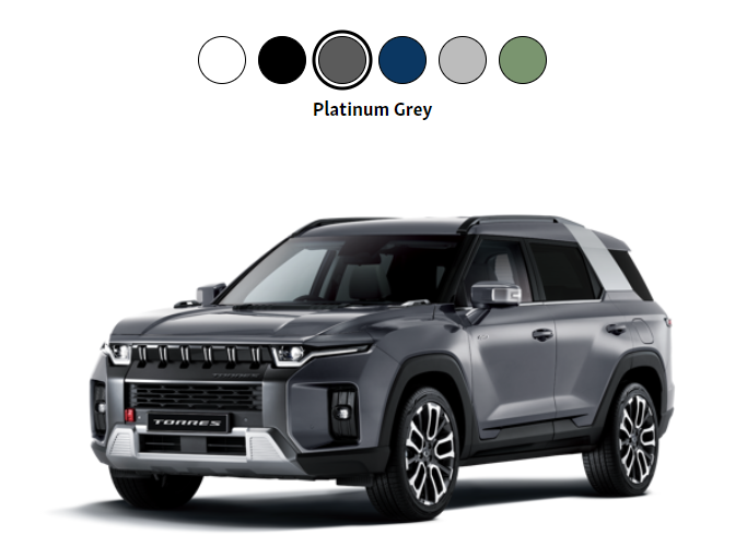 PLATINUM GREY KGM TORRES